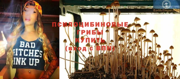 скорость Россошь