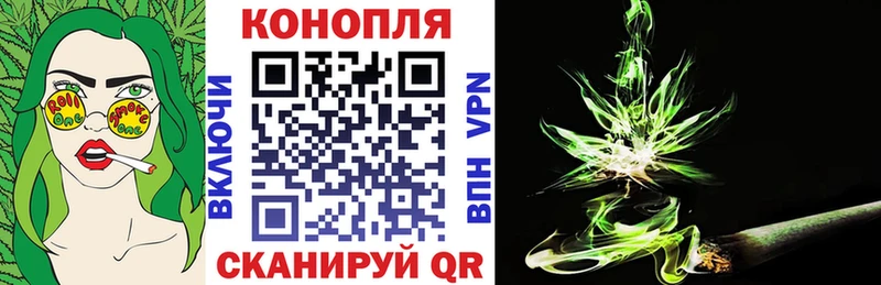 Бошки Шишки планчик  Сольцы 